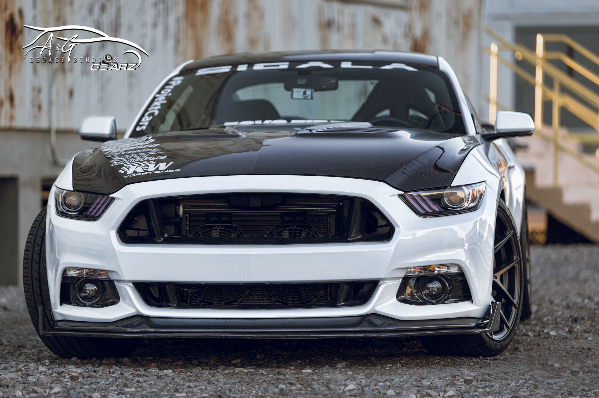Sixth Generation Ford Mustang: 2015 - Present - Mustang 360
